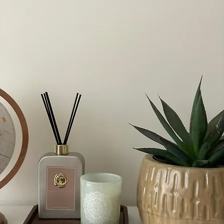 Moss Apartment