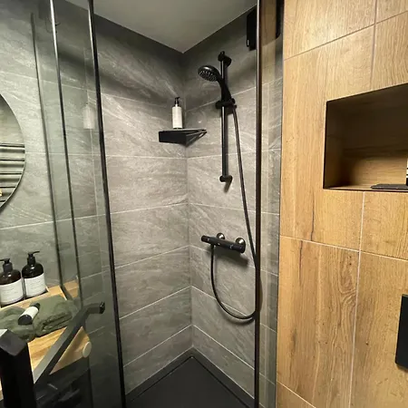 Moss Apartament Druskieniki