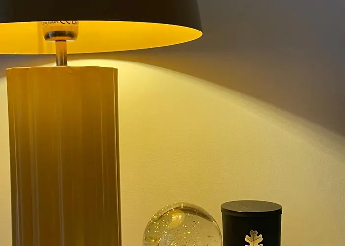 Apartament Moss Druskieniki